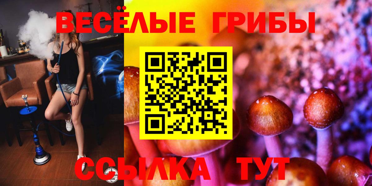 Тула  хочу наркоту  Вход с VPN  Галлюциногенные грибы Psilocybe 